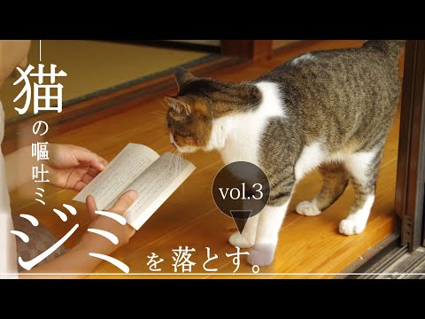 猫の嘔吐による無垢床についたシミ をリセット　~　縁側を蘇させる　~