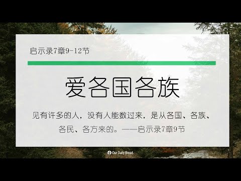 11月4日《灵命日粮》文章视频-爱各国各族