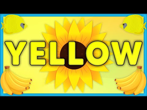 Color Yellow | Learn the Color Yellow with Examples