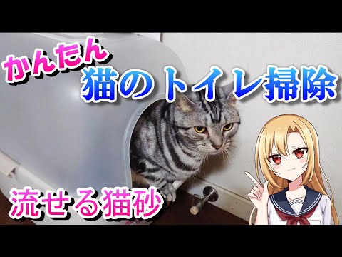 簡単！猫のトイレ掃除！固まって流せる猫砂