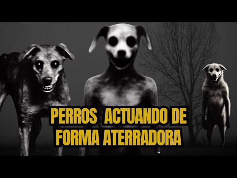 ¡Perros Aterradores!