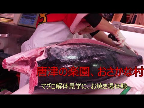 唐津の楽園、おさかな村～マグロ解体見学に、お焼き場体験～