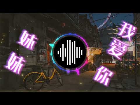 妹妹我爱你DJ DJ Remix 中文舞曲