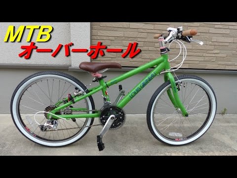 Overhaul MTB