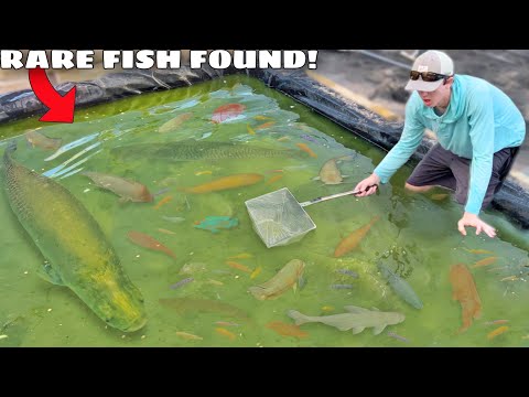 I Found a Green Slime Pond FILLED with AQUARIUM FISH!