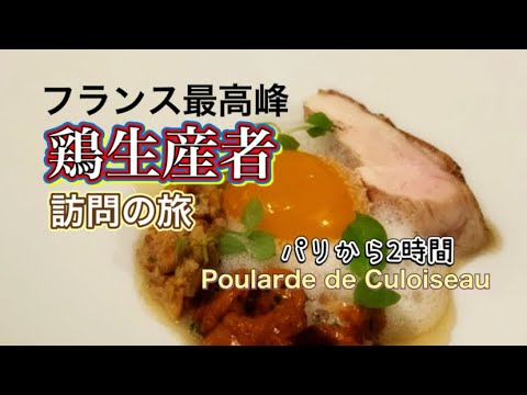 【Vlog】パリ星付きレストランで扱われるフランス最高峰の鶏の生産者訪問/"Poularde de Culoiseau "を求めて🐓 #フランス料理