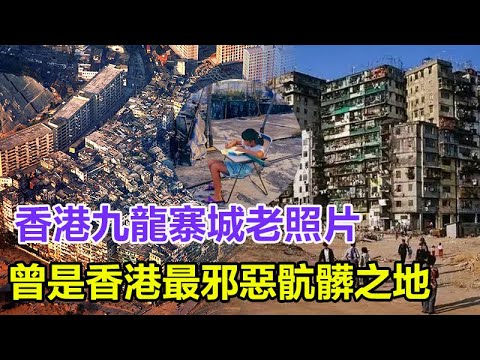 香港九龍寨城老照片：曾是香港最邪惡骯髒之地，圖9場景令人作嘔