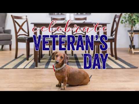 Aki Home 2016 Veterans Day Commercial