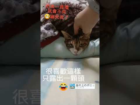 我不是波妞，我叫做“妞妞”