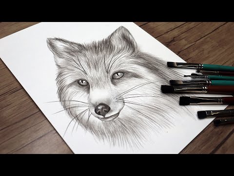 Realistic Fox Head Drawing Step by Step | Pencil Drawing Tutorial | Drawing for Beginners