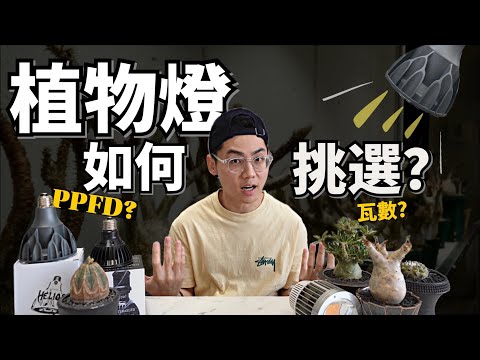 植物燈該如何挑選？是看PPFD,瓦數？簡單判斷可靠這“工具”✨ 不專業經驗分享【新手必看】