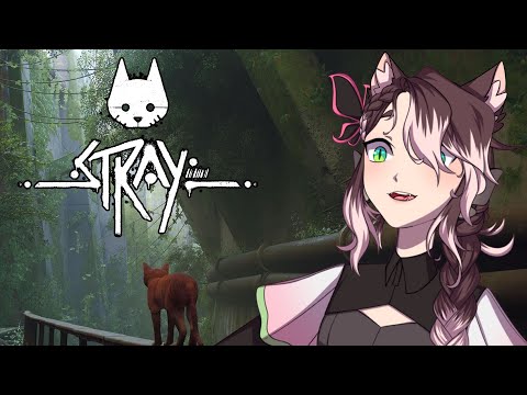 Meow meow meow meow meow - Stray - 1 [Stream Archive]