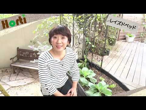 野菜作りが楽になるレイズドベッド(raised bed)