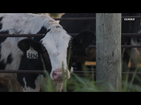 CLAAS ARION 600 with Douglas | Skyline Dairy