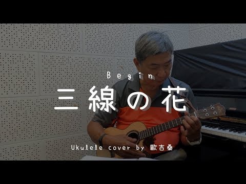 三線の花 ( Begin ) - Ukulele cover by 歐吉桑