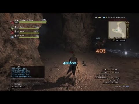 [DDON] 空望広場＋憩いの坑洞