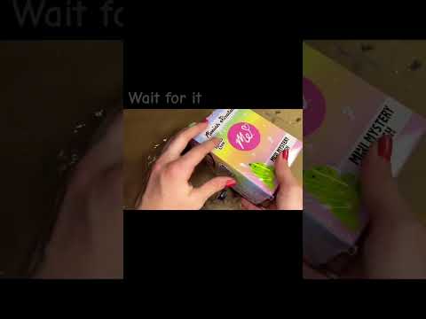 @MoriahElizabeth mini mystery plushie box unboxing #moriahelizabeth