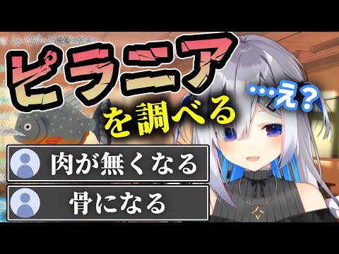 ピラニアの強さを調べた結果、恐怖におののくかなたそ【天音かなた】