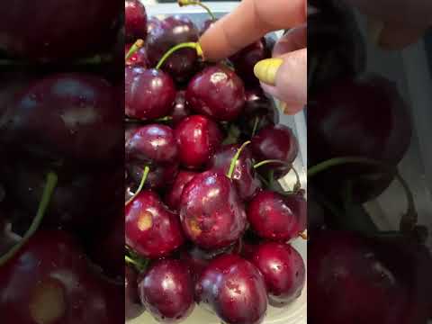 Fresh cherry fruit #cherryfruit #satisfying #viral #trend #shorts