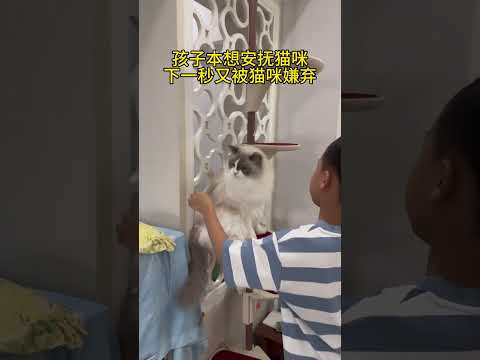 孩子外面撸猫回来，家里猫全程臭脸，哄不好了… #萌娃和萌宠 #当人类幼崽遇到小动物