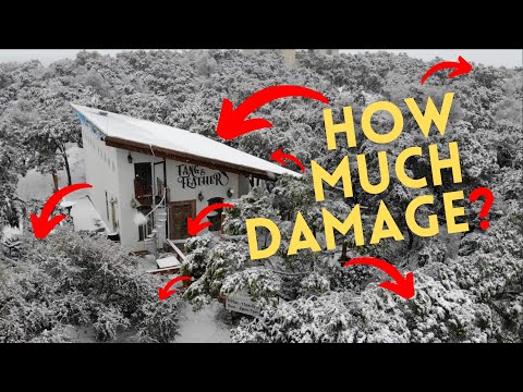 Checking on DISTILLERY DAMAGE after Texas Snowstorm