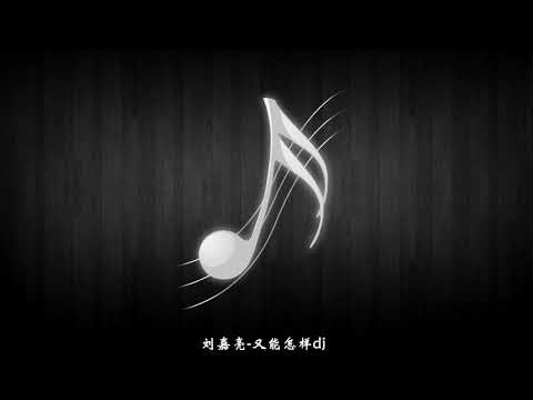 刘嘉亮-又能怎样dj