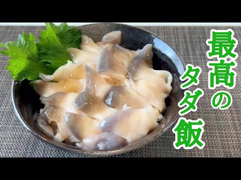 【北海道】苫小牧の海でホッキ貝採り！鮮度抜群のホッキ丼！採って、調理して、食べる〜🤤