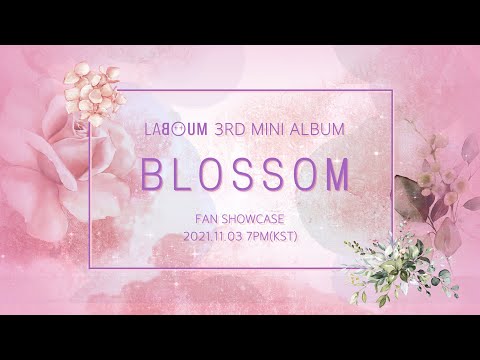 LABOUM 3RD MINI ALBUM [BLOSSOM] FAN SHOWCASE🌷