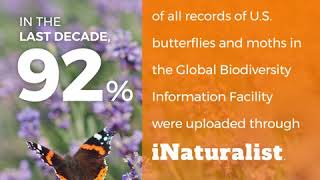 Citizen Science: Impact by the Numbers