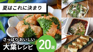 【人気の大葉レシピ20選】さっぱりおいしい！夏におすすめ♪｜macaroni（マカロニ）