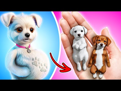 EXTREME PET RESCUE IN HOSPITAL 🤩🎁 Useful Pet Gadgets and Hacks