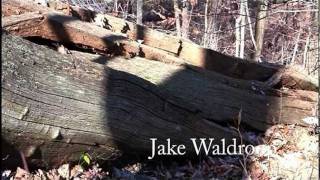 AMERICAN CHESTNUT BLIGHT -  Greatest forest loss in history