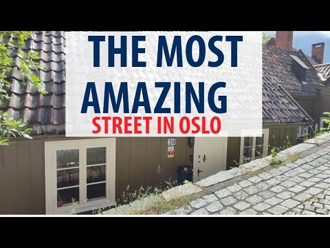 🇧🇻 The Most Amazing Street In Oslo