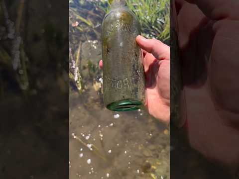 120 Year old Local Bottle Found!  |  C. Morley 1879-1913