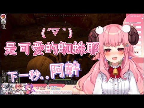 【烟花精華】是可愛的蜘蛛耶(๑ᵒ̴̶̷͈᷄ᗨᵒ̴̶̷͈᷅)好可愛！  ft.小綠、BB