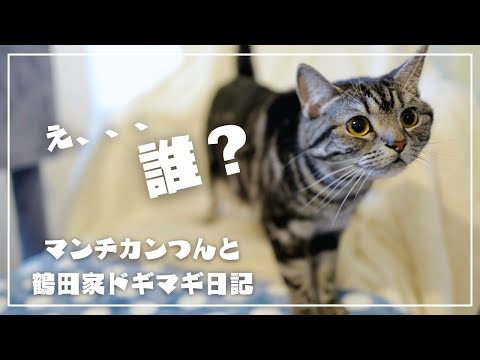 初めて家におかんが来た時の愛猫の反応が可愛すぎた！