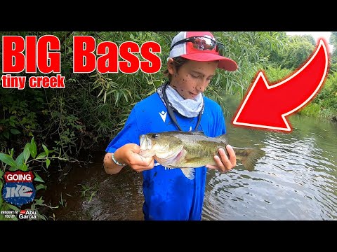 BIG Bass in a tiny creek! (Exploring skinny water for BIG fish!)