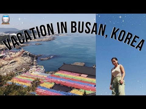 weekend in busan, korea 🚊