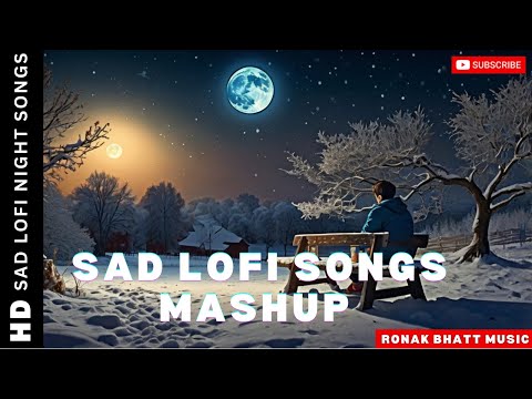 Sad Mashup Night songs l Lofi pupil | Bollywood songs|Heart touch Lo-fi Mix 2024 #ronakbhattrz​