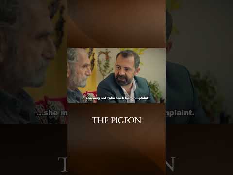 Let's Not Talk About Marriage - The Pigeon #shorts