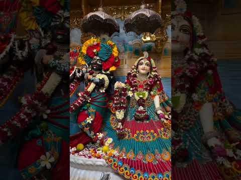 Koi jaye jo vrindavan #shortfeed #vrindavan #radharani #radha