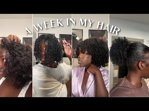 My hair is FINALLY back healthy again. Here's everything I do to take care of it!