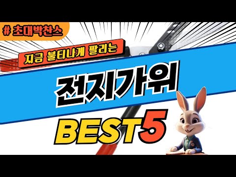 2024 초대박 찬스 전지가위 추천 대박 가성비 베스트5! 후기 비교