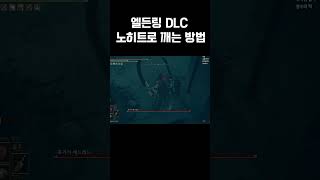 흑기사여 비겁하다고는 하지 않겠지 [엘든링 DLC]