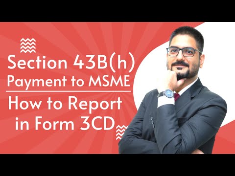 Section 43B(h) Payment to MSME | How to Report in Form 3CD | by CA Kushal Soni