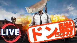 テスト鯖で戯れる　PUBG～LIVE～