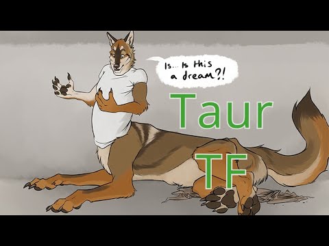 Taur Transformation / Taur TFTG