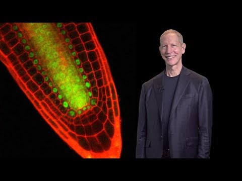 Philip Benfey (Duke, HHMI) 1: Introduction to Root Genetics