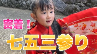 【3歳娘】破天荒な次女の七五三参りに密着！着物が似合い過ぎてました！笑