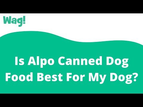 Is Alpo Canned Dog Food Best For My Dog? | Wag!